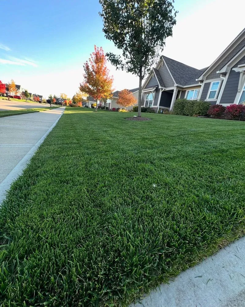 Affordable landscaping services in Graham, NC - Exotic Mowing Services