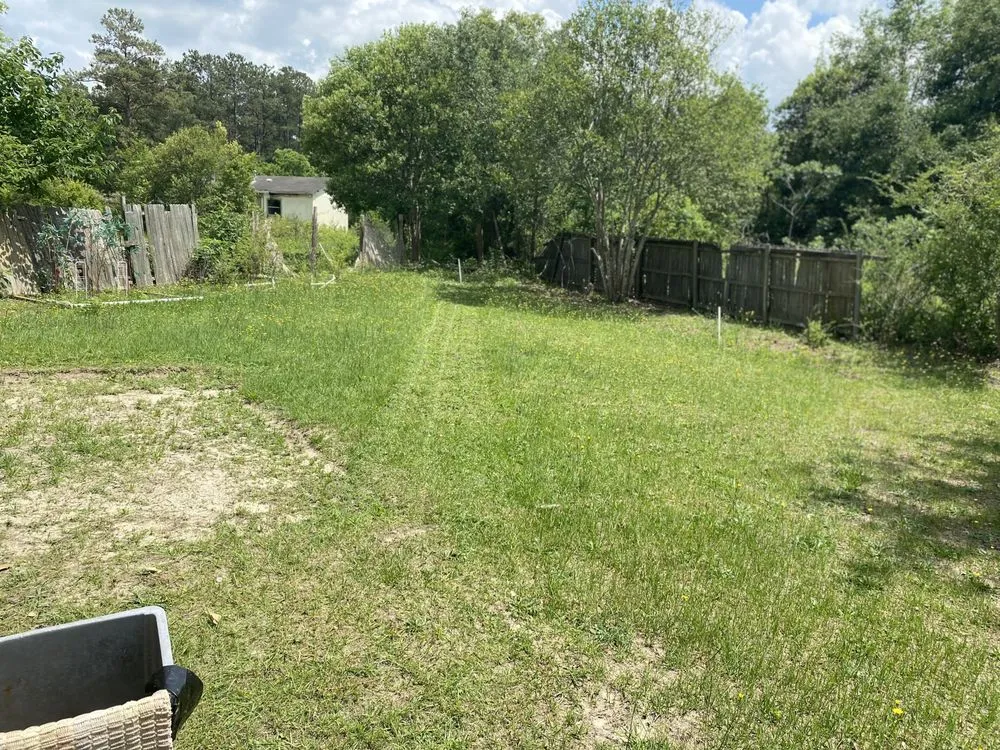 Local yard cleanup service in Macon, GA - Exotic Pressure