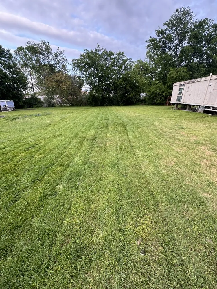 Reliable lawn care service experts serving Fort Worth, TX - Exotic Yardwork