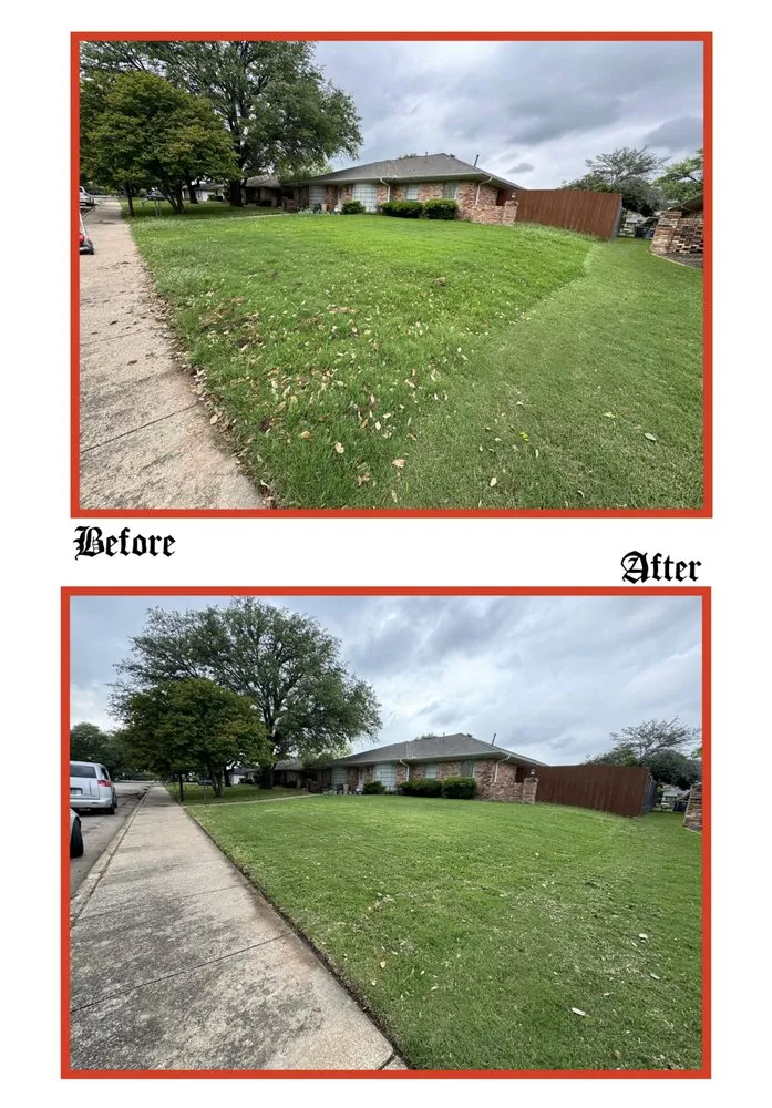 Reliable residential landscaping in Fort Worth, TX - Exotic Yardwork