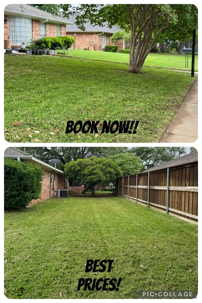 Affordable lawn care service experts serving Fort Worth, TX - Exotic Yardwork