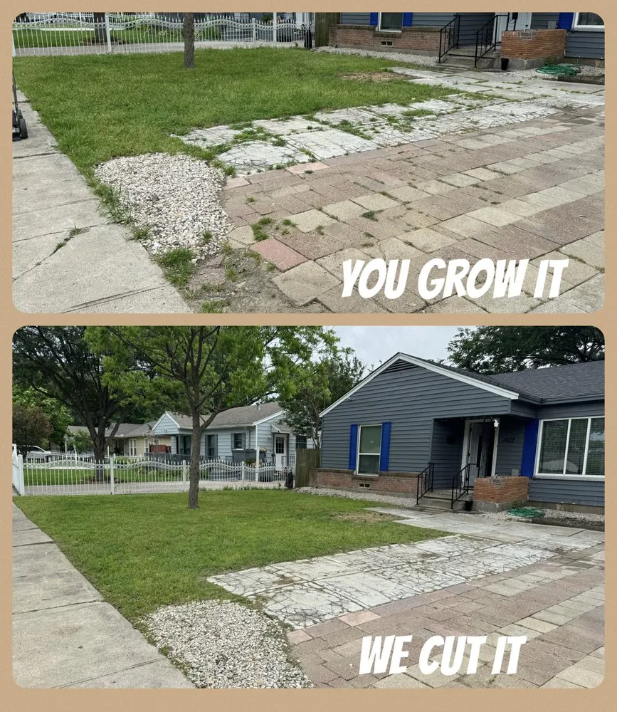 Expert landscape installation in Fort Worth, TX by Exotic Yardwork