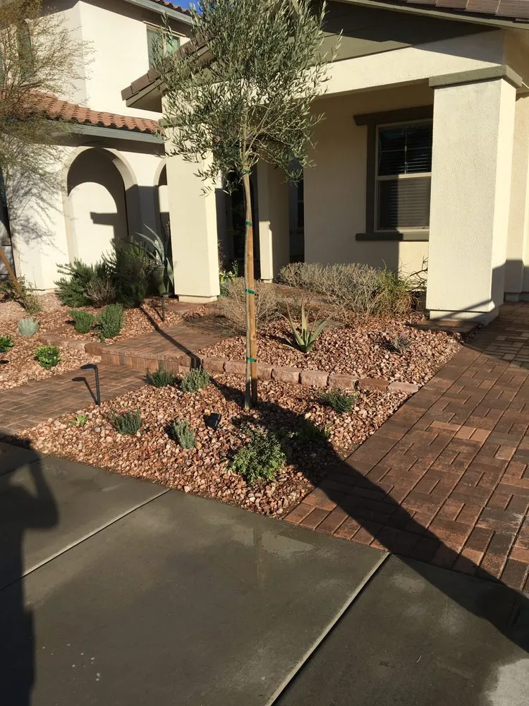 Local landscape design in Las Vegas, NV - Exotico Landscapes