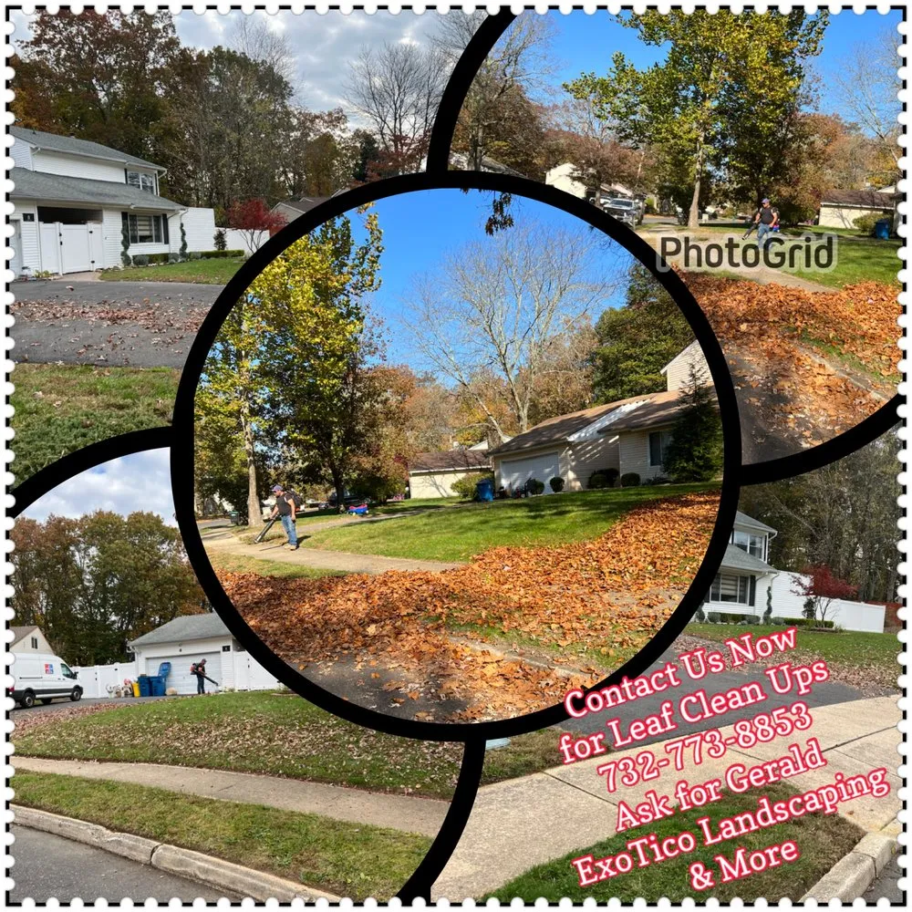 Custom garden landscaping for beautiful yards in Freehold, NJ by Exotico Landscaping and More