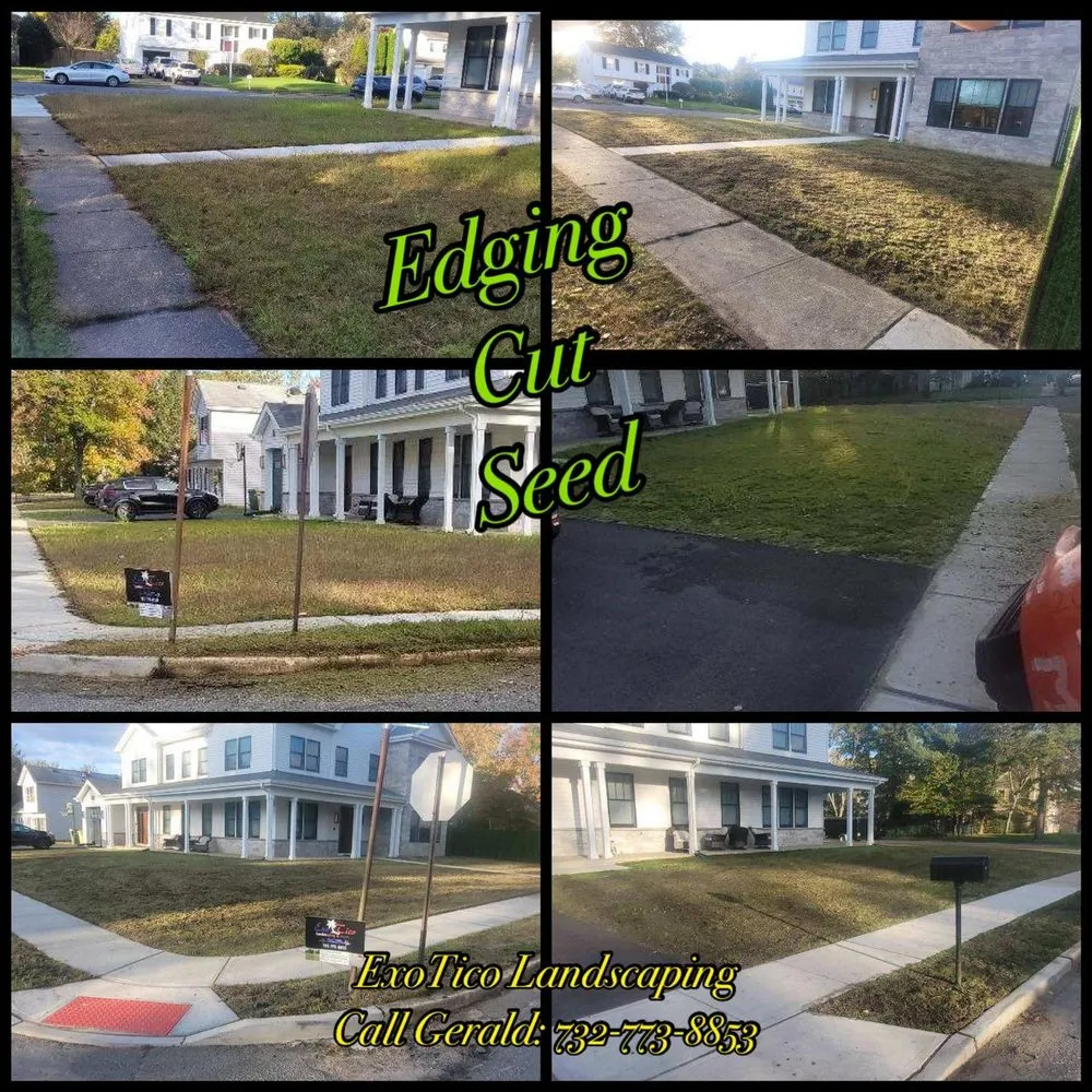 Reliable lawn care service for residential properties in Freehold, NJ by Exotico Landscaping and More