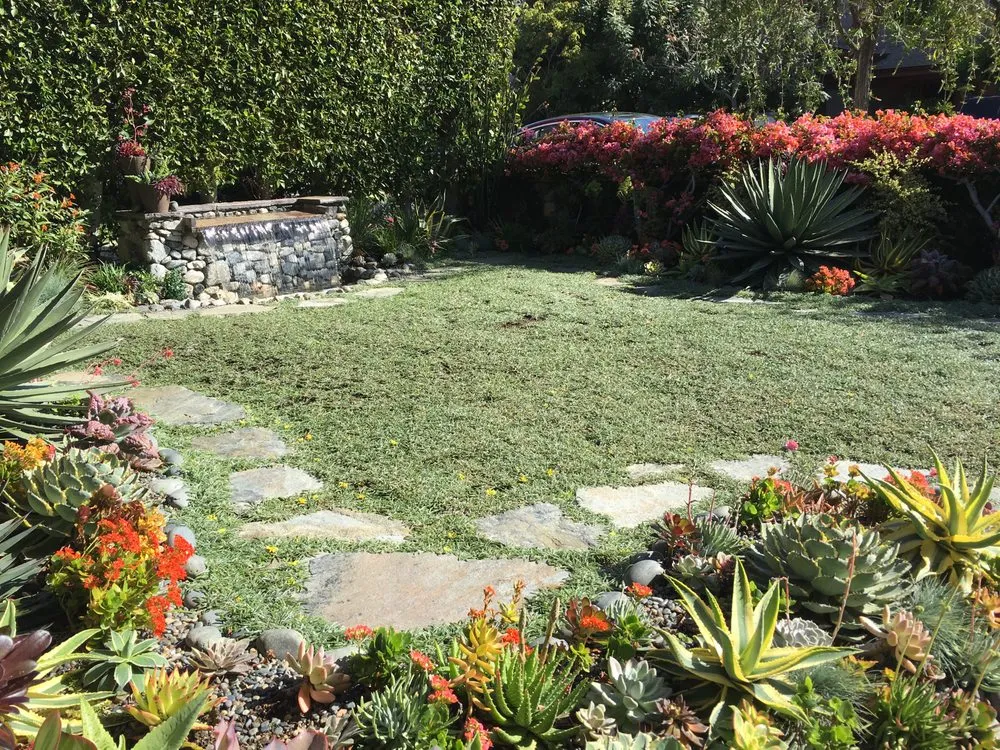 Local landscaping services in Los Angeles, CA - Exoticus Botanicus
