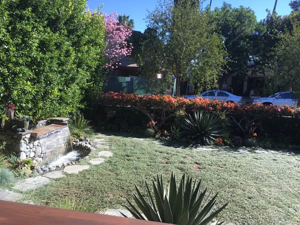 Custom lawn mowing service experts serving Los Angeles, CA - Exoticus Botanicus