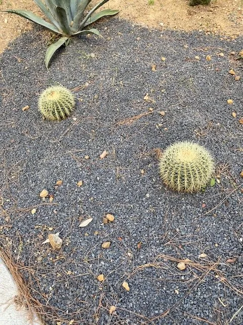 Trusted landscape design in Los Angeles, CA by Exoticus Botanicus