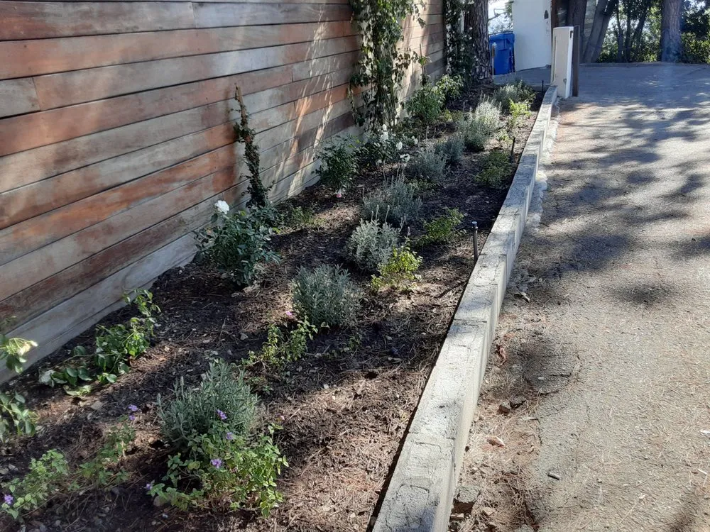 Reliable yard maintenance experts serving Los Angeles, CA - Exoticus Botanicus