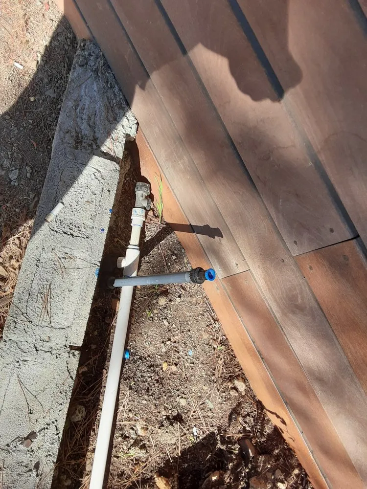 Professional landscaping services in Los Angeles, CA by Exoticus Botanicus