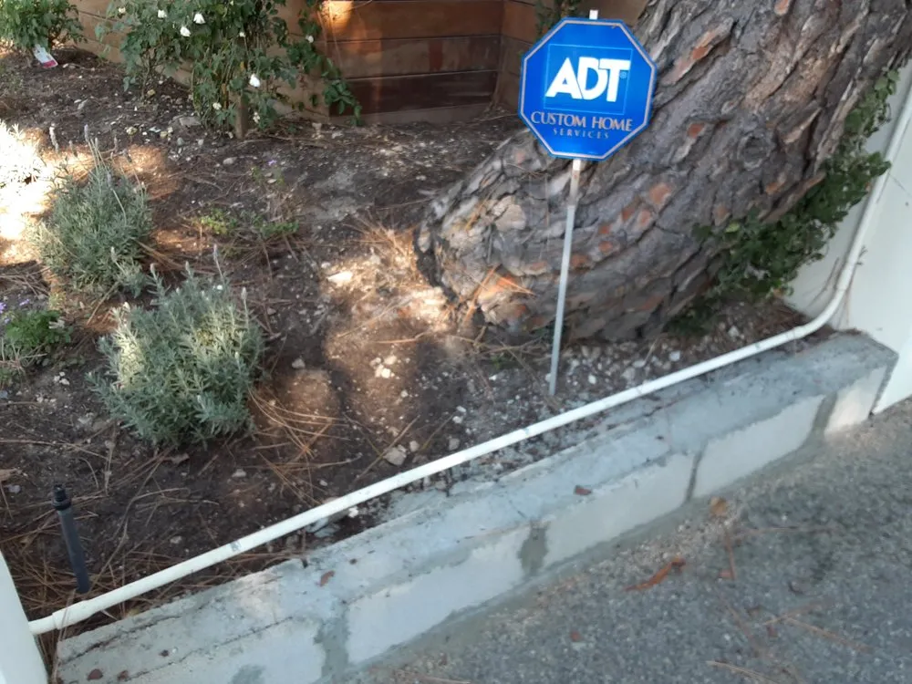 Professional landscaping services in Los Angeles, CA by Exoticus Botanicus