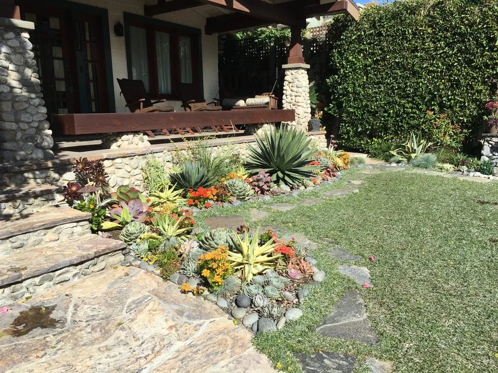 Professional yard cleanup service experts serving Los Angeles, CA - Exoticus Botanicus