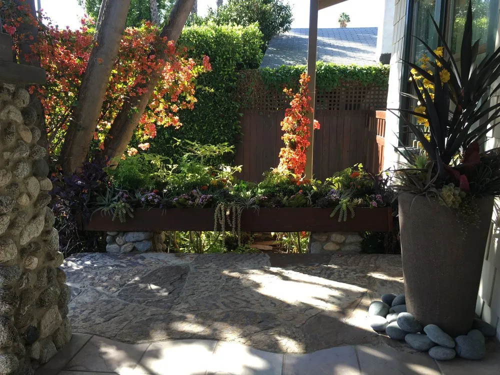 Expert landscaping services in Los Angeles, CA by Exoticus Botanicus