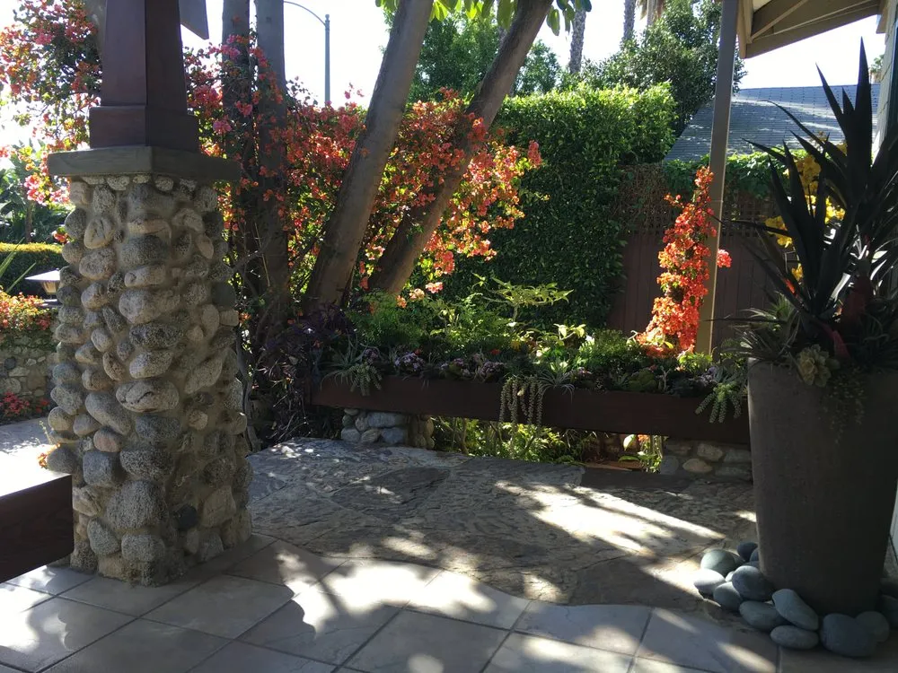 Reliable landscaping services in Los Angeles, CA - Exoticus Botanicus