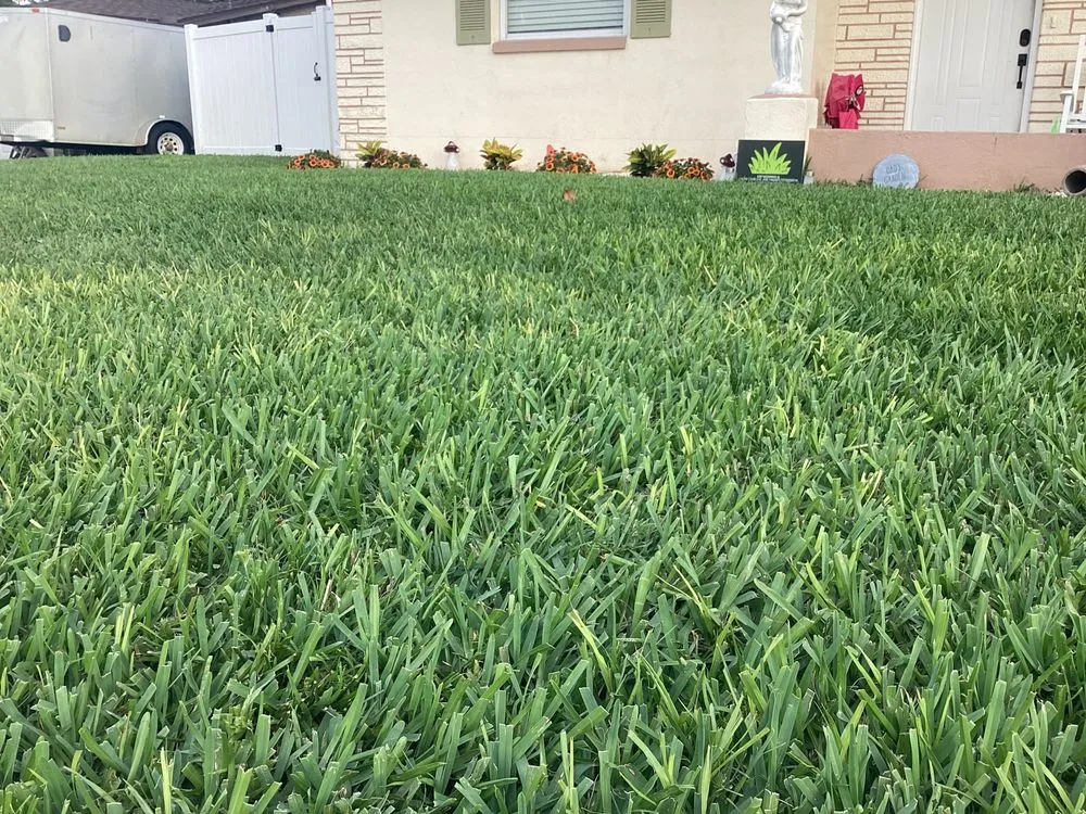 Affordable residential landscaping in Port Richey, FL - Exp Mowing & Lawn Care