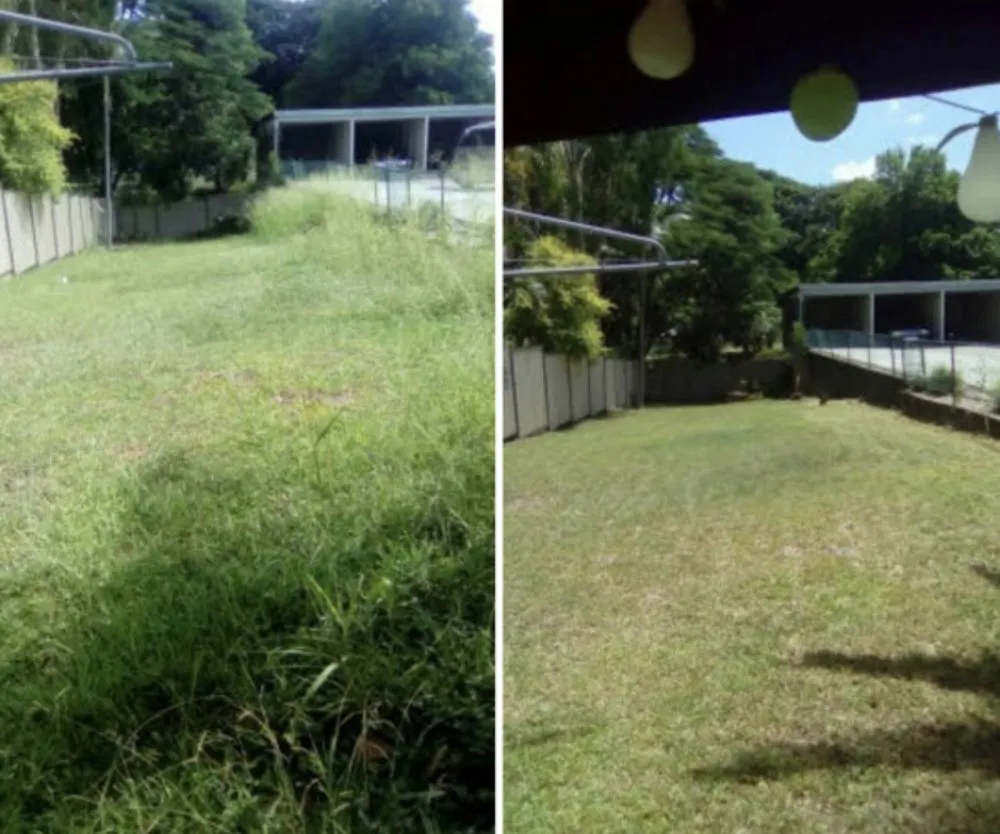 Custom landscape installation experts serving Port Richey, FL - Exp Mowing & Lawn Care