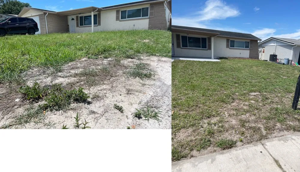 Expert landscape design for year-round maintenance in Port Richey, FL by Exp Mowing & Lawn Care