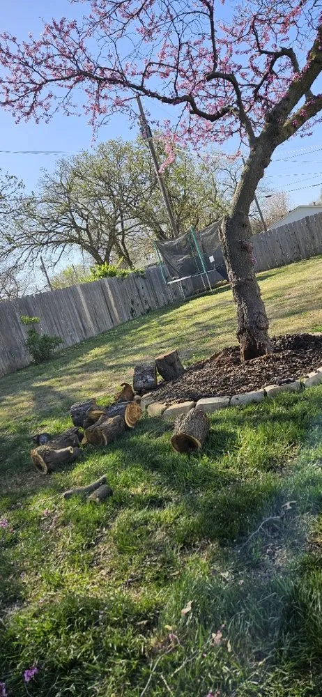 Top-rated landscaping services for homes in Wichita, KS by Experience Matters