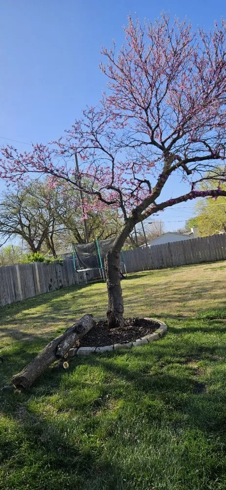 Expert yard maintenance experts serving Wichita, KS - Experience Matters