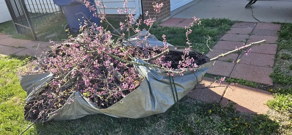 Expert lawn mowing service for year-round maintenance across Wichita, KS - Experience Matters