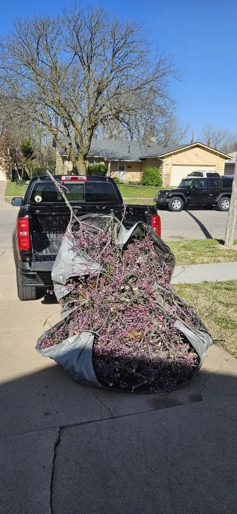 Reliable lawn care service for year-round maintenance in Wichita, KS by Experience Matters