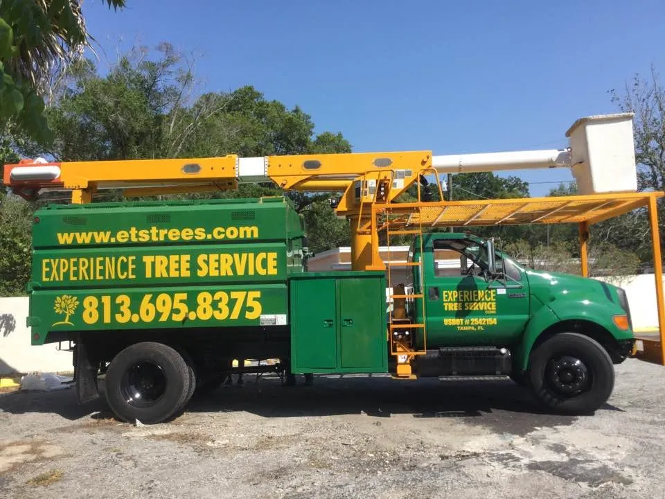 Custom landscaping services experts serving Tampa, FL - Experience Tree Service