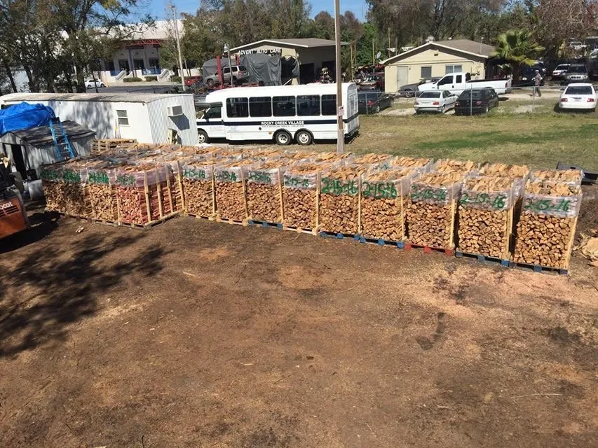 Top-rated lawn mowing service experts serving Tampa, FL - Experience Tree Service