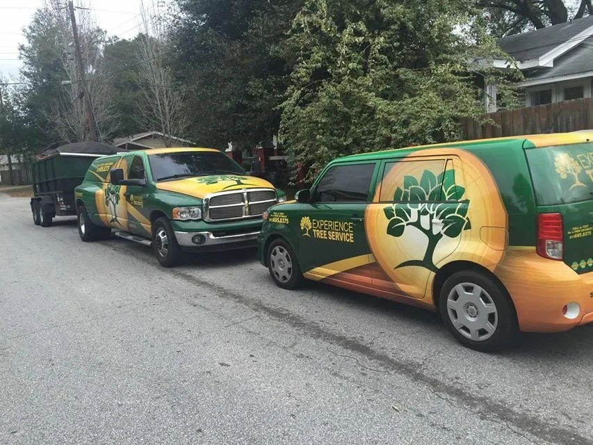 Custom lawn care service near you across Tampa, FL - Experience Tree Service