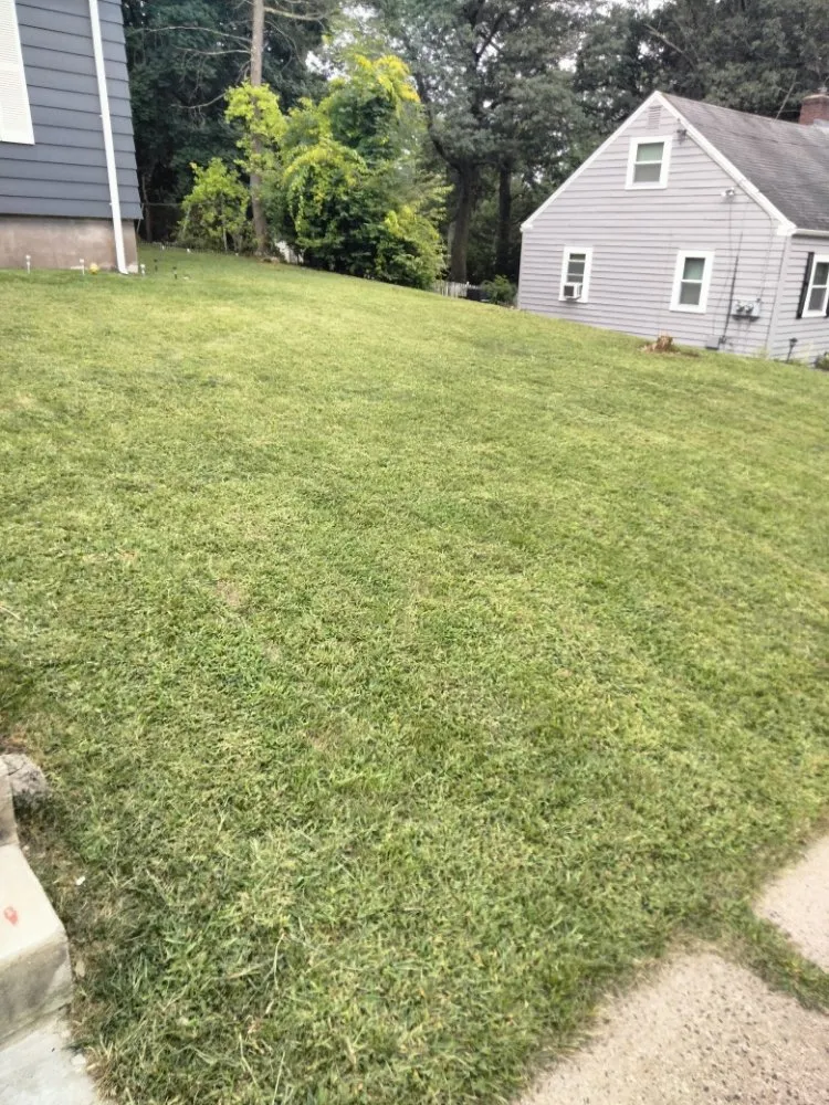 Professional garden landscaping for year-round maintenance across Manchester, CT - Experienced Landscaping