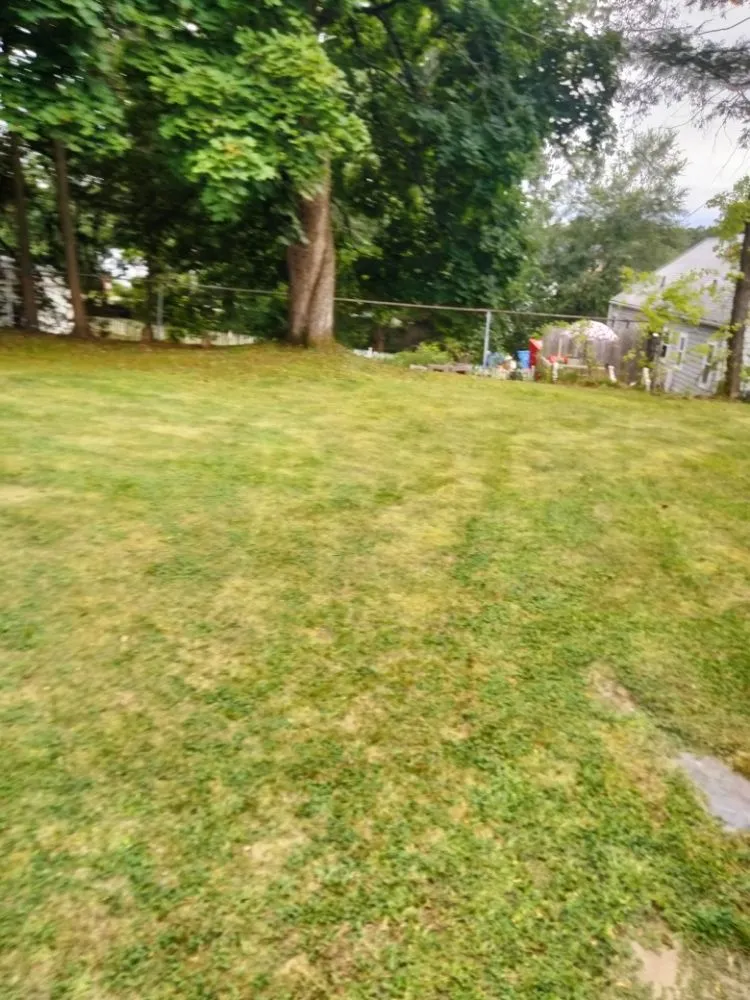 Trusted garden landscaping in Manchester, CT - Experienced Landscaping