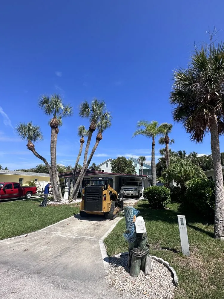 Custom yard maintenance experts serving Sarasota, FL - Experienced Tree Service