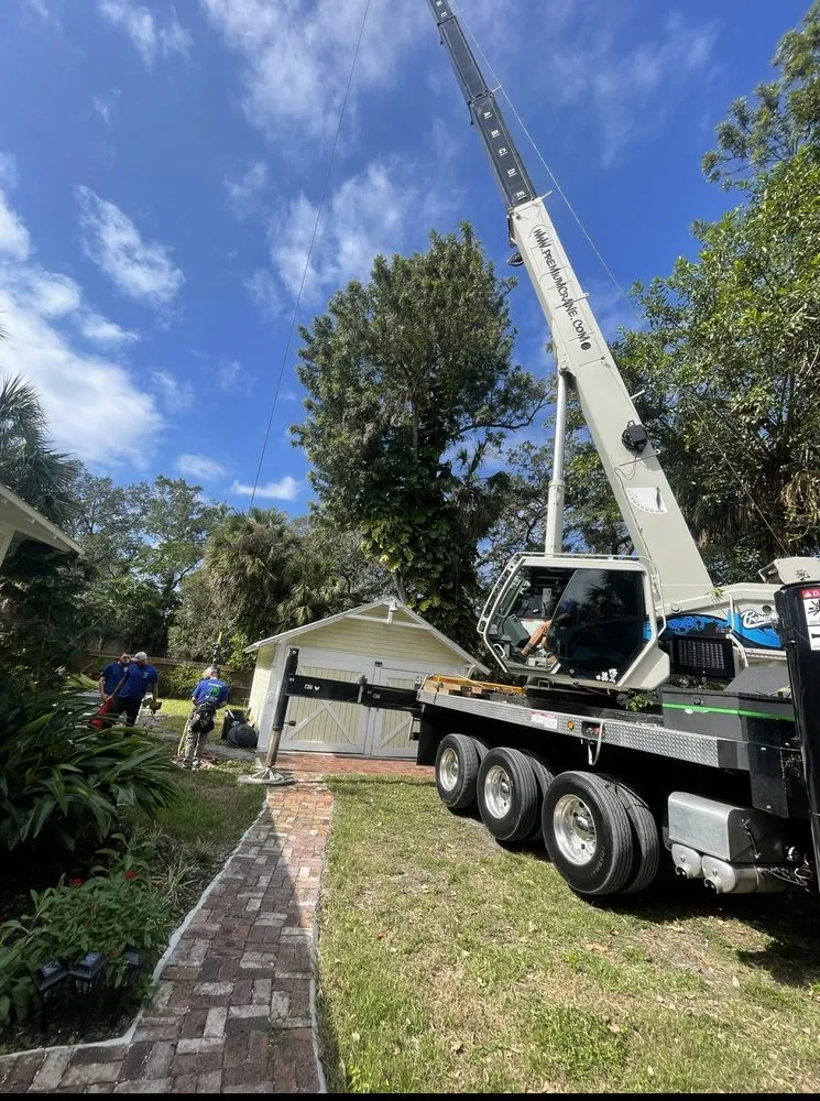 Professional yard cleanup service experts serving Sarasota, FL - Experienced Tree Service