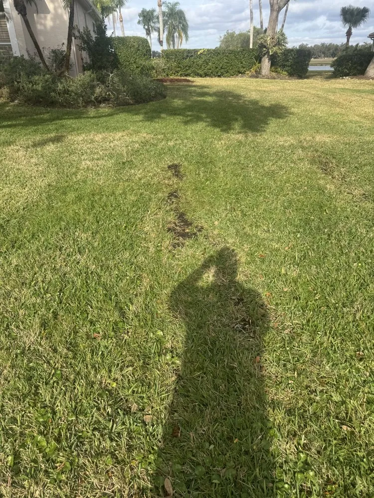 Affordable lawn care service for residential properties across Sarasota, FL - Experienced Tree Service