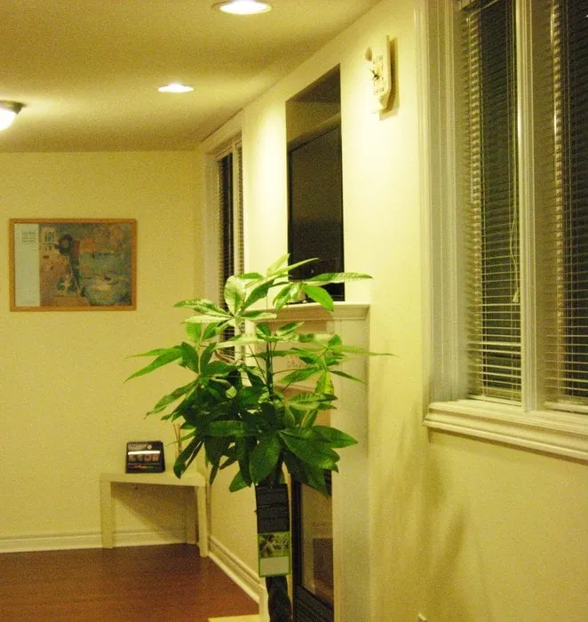 Affordable lawn care service in Sarasota, FL by Experienced Tree Service