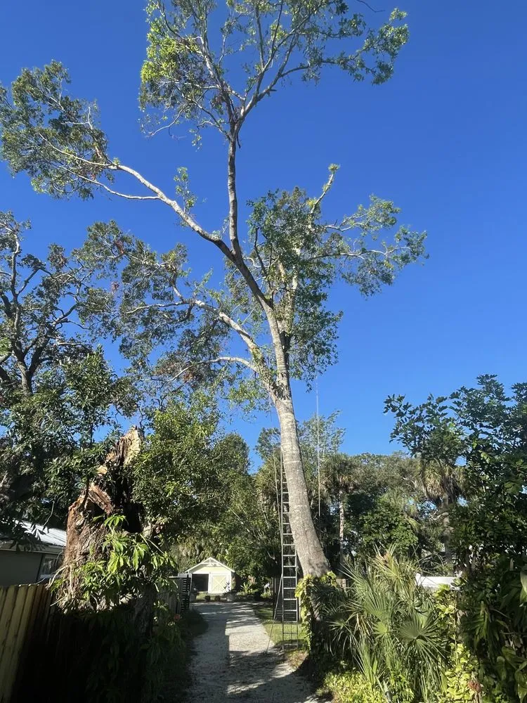 Reliable garden landscaping for residential properties in Sarasota, FL by Experienced Tree Service