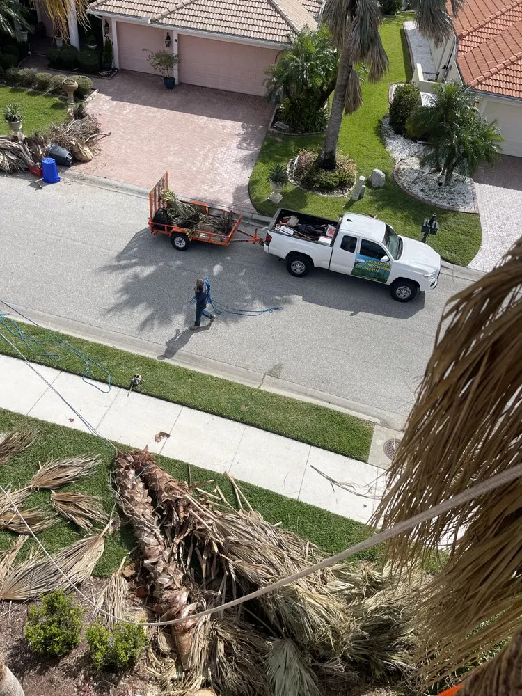 Reliable landscaping services in Sarasota, FL by Experienced Tree Service