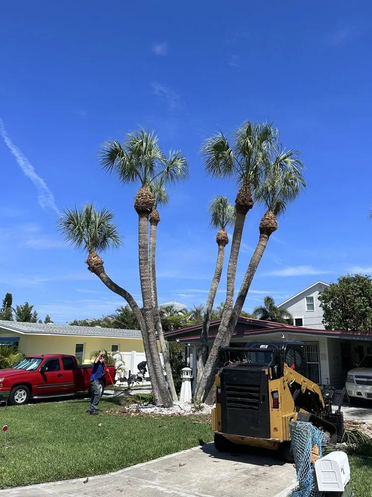 Trusted yard cleanup service experts serving Sarasota, FL - Experienced Tree Service