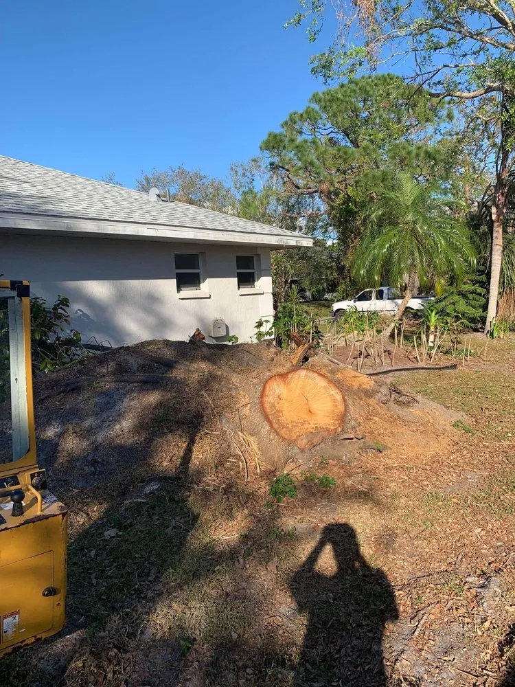 Expert residential landscaping with custom design in Sarasota, FL by Experienced Tree Service