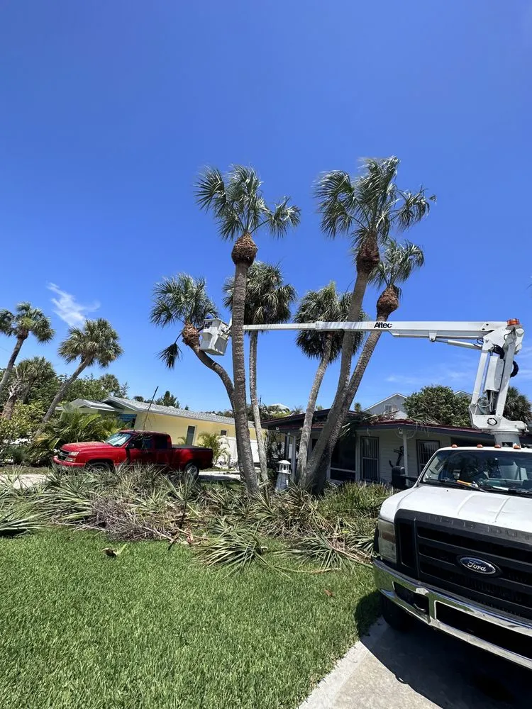 Reliable outdoor landscaping experts serving Sarasota, FL - Experienced Tree Service