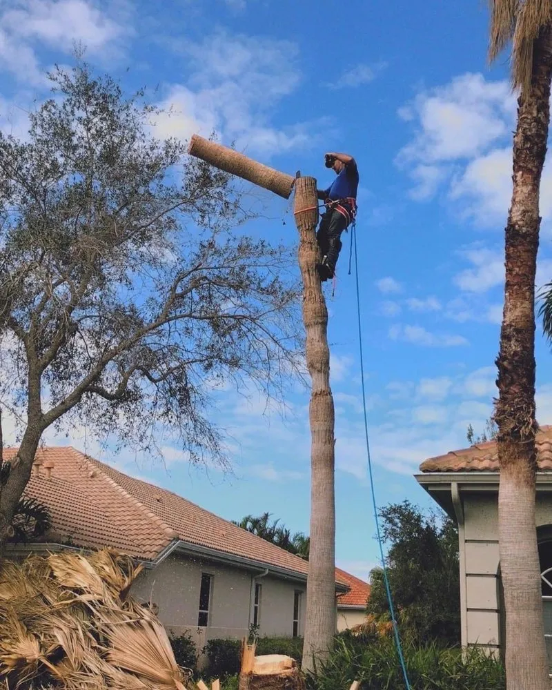 Custom landscape design in Sarasota, FL - Experienced Tree Service