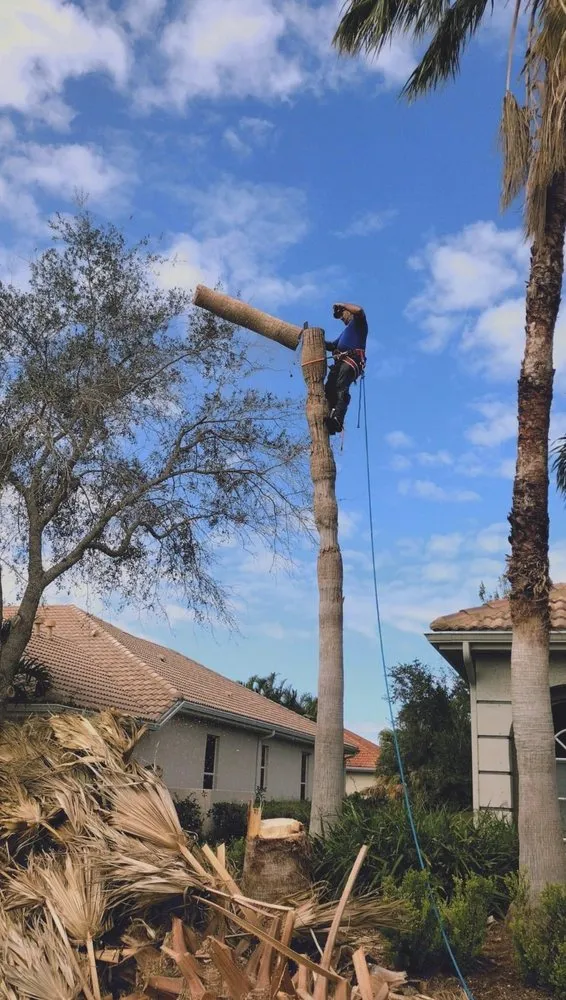 Professional landscaping services for residential properties across Sarasota, FL - Experienced Tree Service