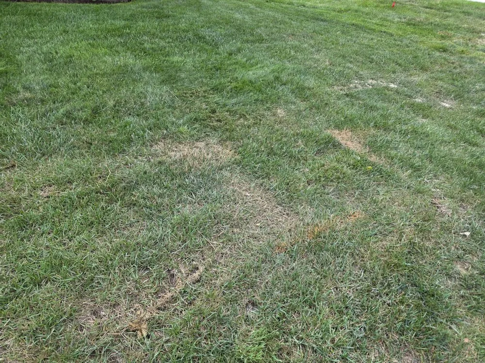 Custom yard cleanup service for outdoor upgrades in Auburn Hills, MI by ExperiGreen & Top Lawn