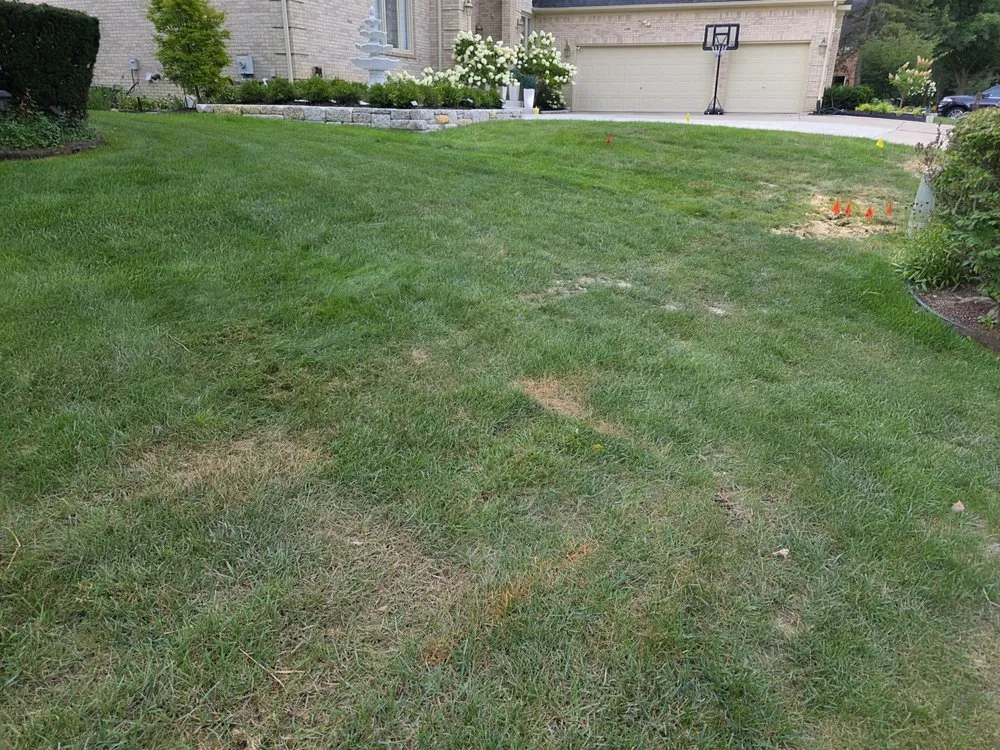 Trusted yard maintenance experts serving Auburn Hills, MI - ExperiGreen & Top Lawn