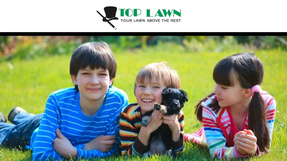 Expert lawn care service for beautiful yards in Auburn Hills, MI by ExperiGreen & Top Lawn