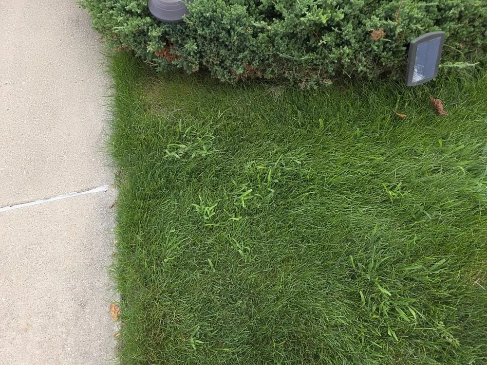 Affordable yard cleanup service for year-round maintenance in Auburn Hills, MI by ExperiGreen & Top Lawn