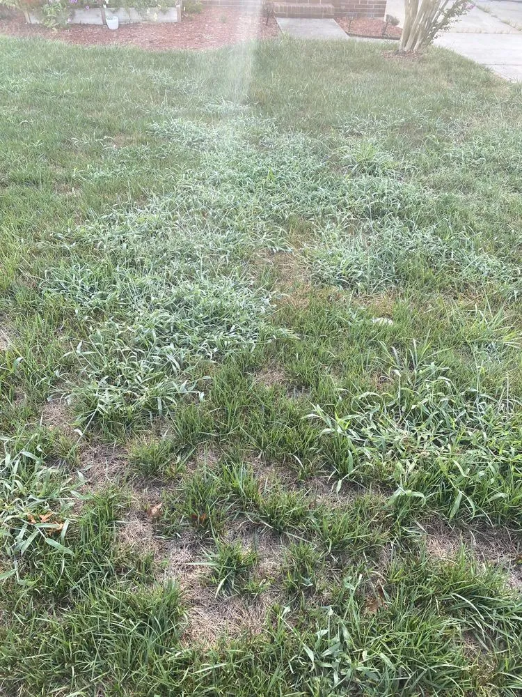 Trusted outdoor landscaping with custom design across Charlotte, NC - ExperiGreen Lawn Care