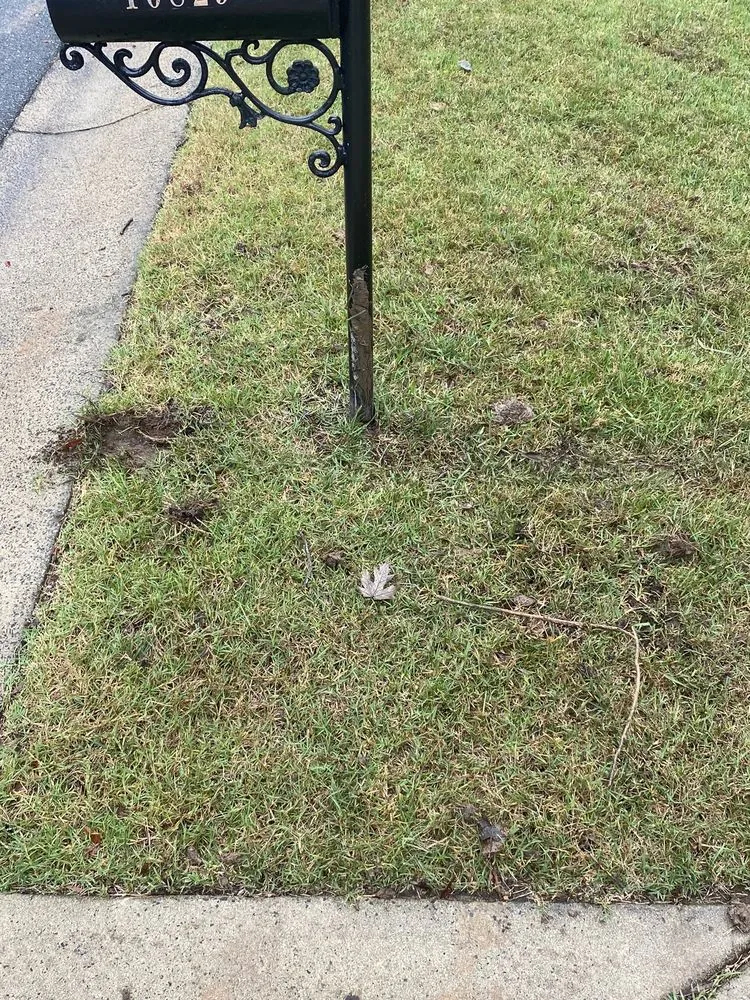 Affordable garden landscaping with custom design in Charlotte, NC by ExperiGreen Lawn Care