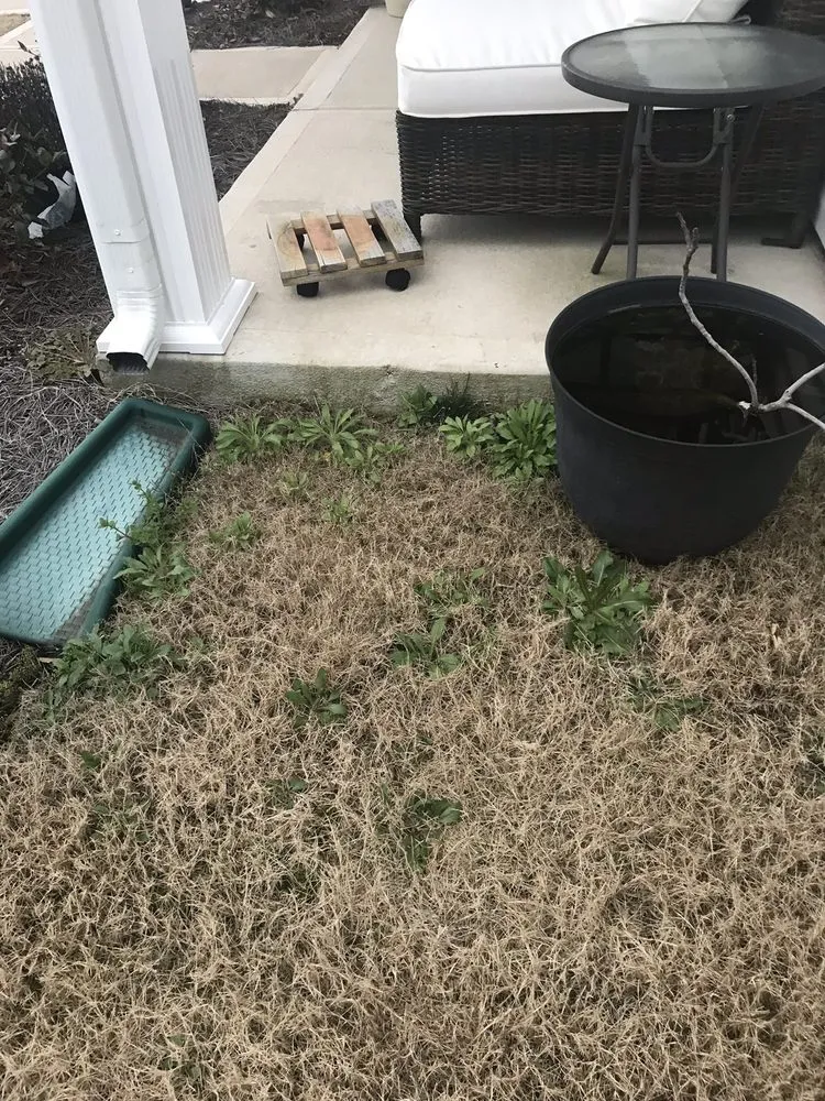 Reliable landscape installation in Charlotte, NC by ExperiGreen Lawn Care