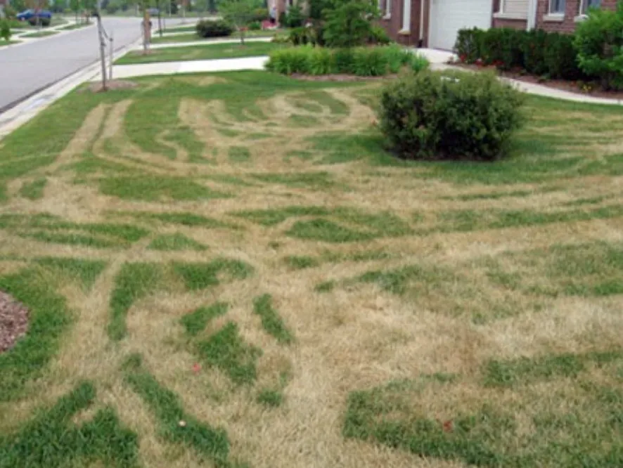 Custom landscaping services in Charlotte, NC - ExperiGreen Lawn Care