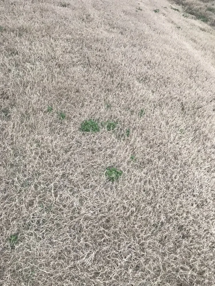 Trusted outdoor landscaping in Charlotte, NC - ExperiGreen Lawn Care